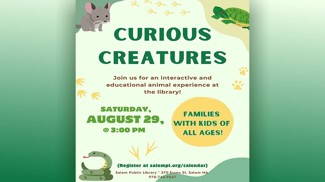 Curious Creatures slide