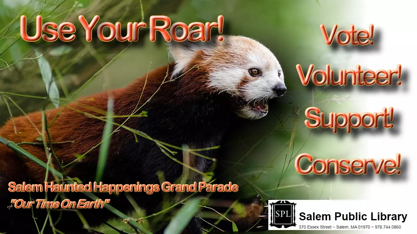 Use Your Roar slide image